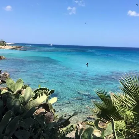 וילה Palma 14 פרוטאראס