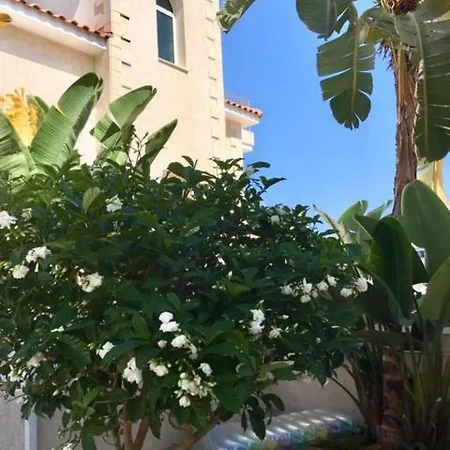 Palma 14 וילה