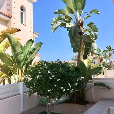 Palma 14 * פרוטאראס