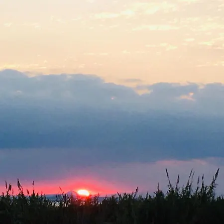 فيلة Palma 14 بروتاراس