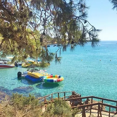 Palma 14 *