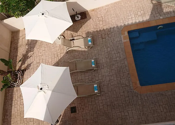 Palma 14 * 프로타라스