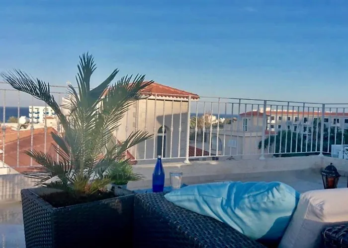 Palma 14 프로타라스