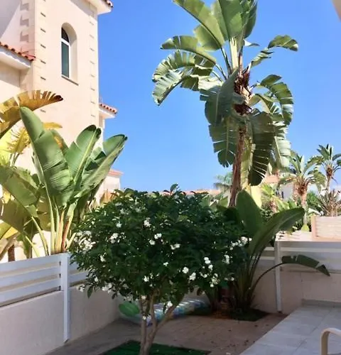 Palma 14 * 프로타라스