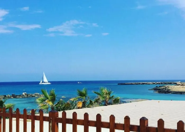 Palma 14 * 프로타라스